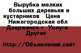 Вырубка мелких, больших деревьев и кустарников › Цена ­ 500 - Нижегородская обл., Дзержинск г. Услуги » Другие   